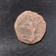 Rare Coin Collector