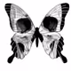 Rasec Tattoo Designs