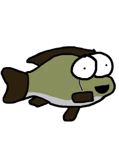 Rauno Ruutana Collection