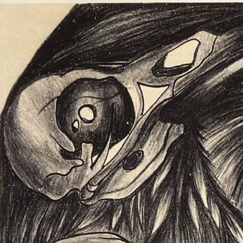 Raven RC
