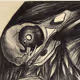Raven RC