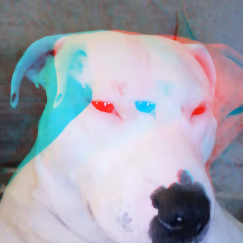 SoulravenmomentsinLife