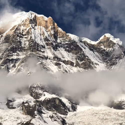 Lens for a Cause - old