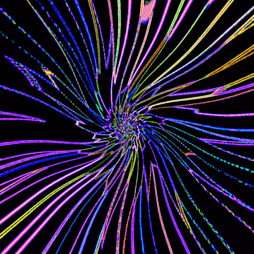 Re-Created Night Blossom