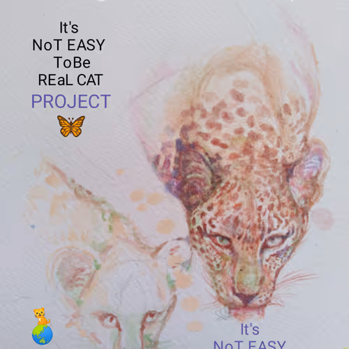 Real CAT Project