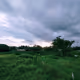 Real Clouds !