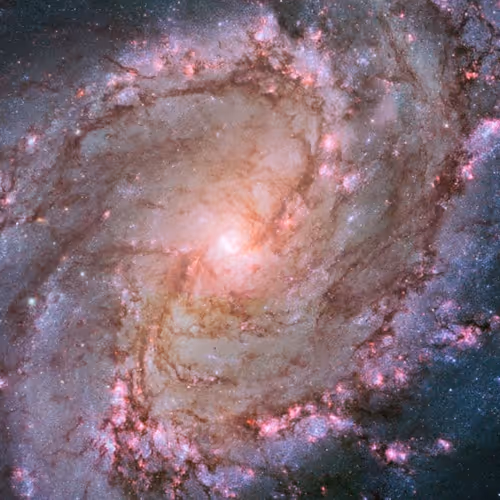 Real Cosmic Universe