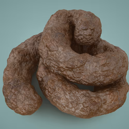 Real Poop