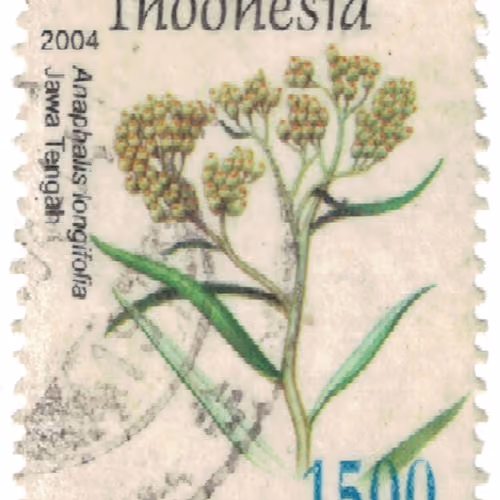 Real Prints Stamps