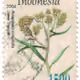 Real Prints Stamps