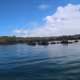 real sea treasure