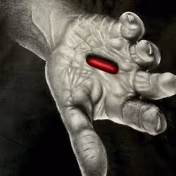 Espace réservé aux médias de l'article