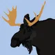 Real Moose Club