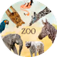 Real pixel Zoo