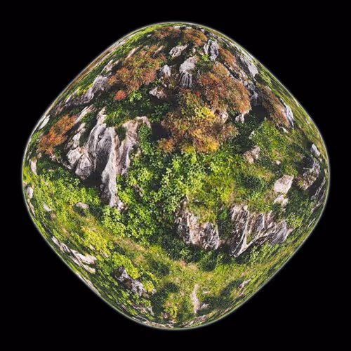 REAL PLANET