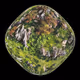 REAL PLANET