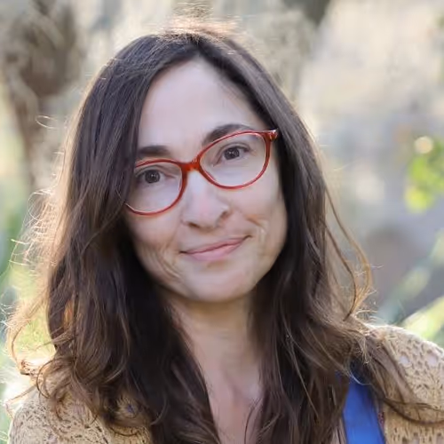 The Holga Collection by Rebecca Tolk - old