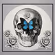 Rebirth and Folk Skull - old