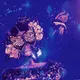 Rebirthofawoman - old