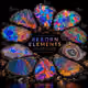 REBORN ELEMENTS