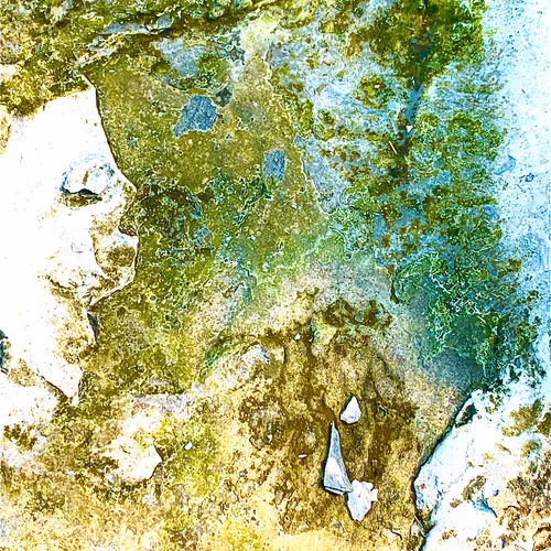 Recollecting Thoughts