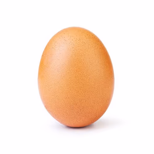 RecordEggClub