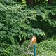 Red Robin