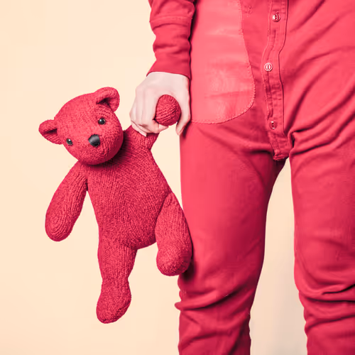 Red Teddy Bear