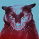 Redcatonblue