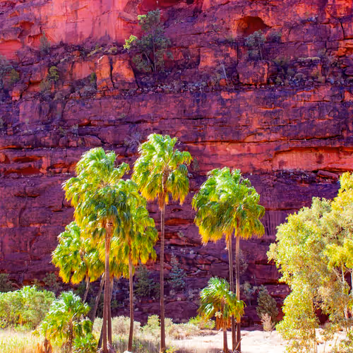 Red Centre of Australia Sunsets