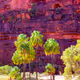 Red Centre of Australia Sunsets