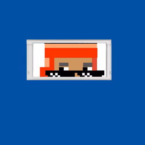 REDDITBOY CRYPTO PUNK - old