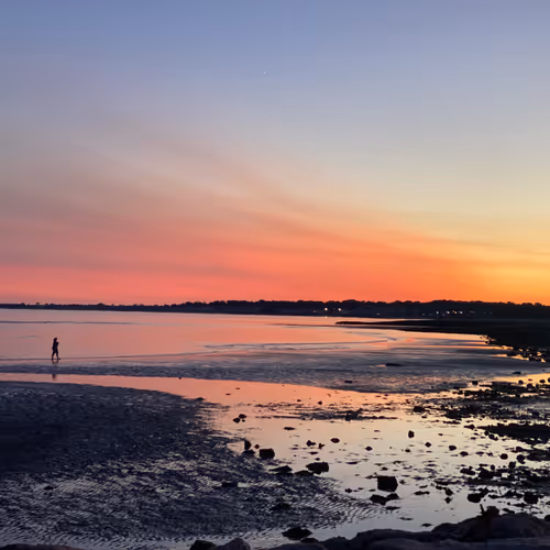 Redeye Landscapes