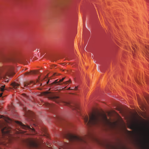REDPASSION