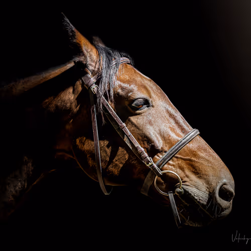 Reflect Inside World