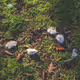 Reichswald:S01:floors