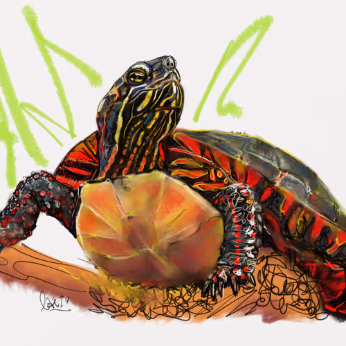 Reptiles from Quebec