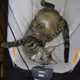 RescueBabies Adopt a Pet (Launches in final stage)