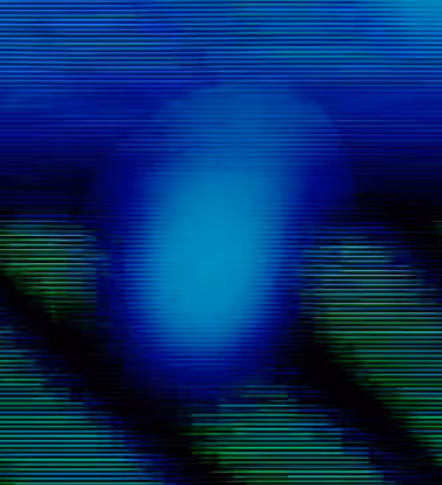 Return of the Egg.. eggssss