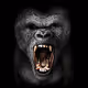 Revenge of Harambe - Gold Edition
