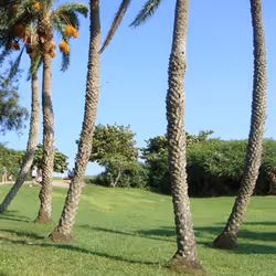 Espace réservé aux médias de l'article