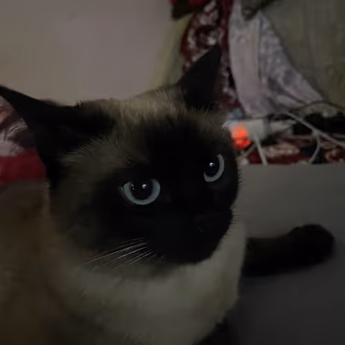 Luna.pr1