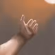 Reach for the Light - old