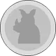 Rhino Coin