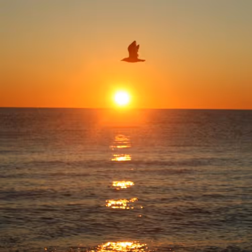 Richard Allen Photography:  Nature