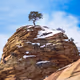 Landscape for the Metaverse
