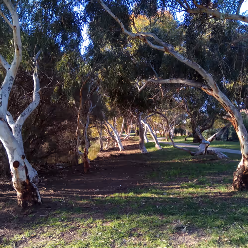 Ril Life Photography - old