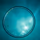 Rings of Life