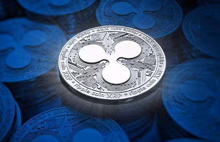 Ripple Win Sec 2022