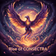 Rise of CONSECTRA